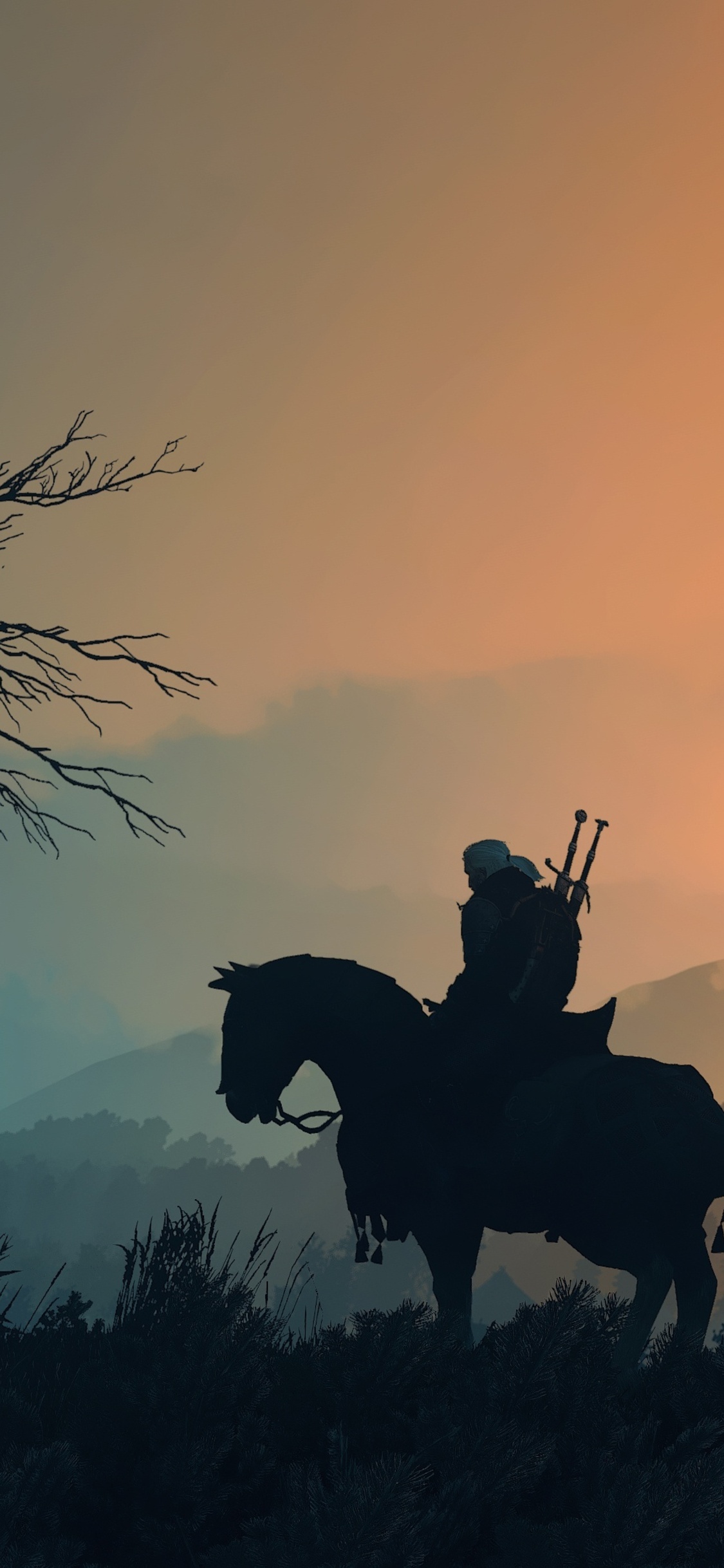 Witcher 3 Iphone Wallpapers