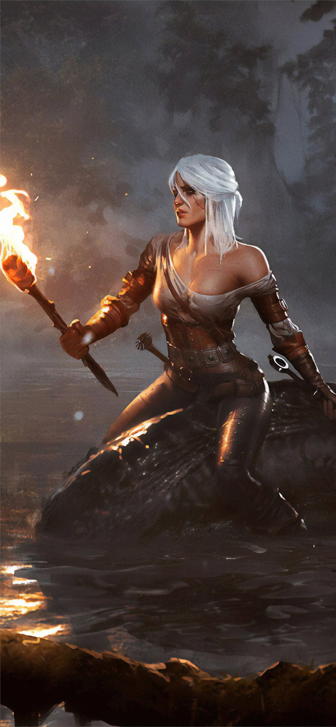 Witcher 3 Iphone Wallpapers