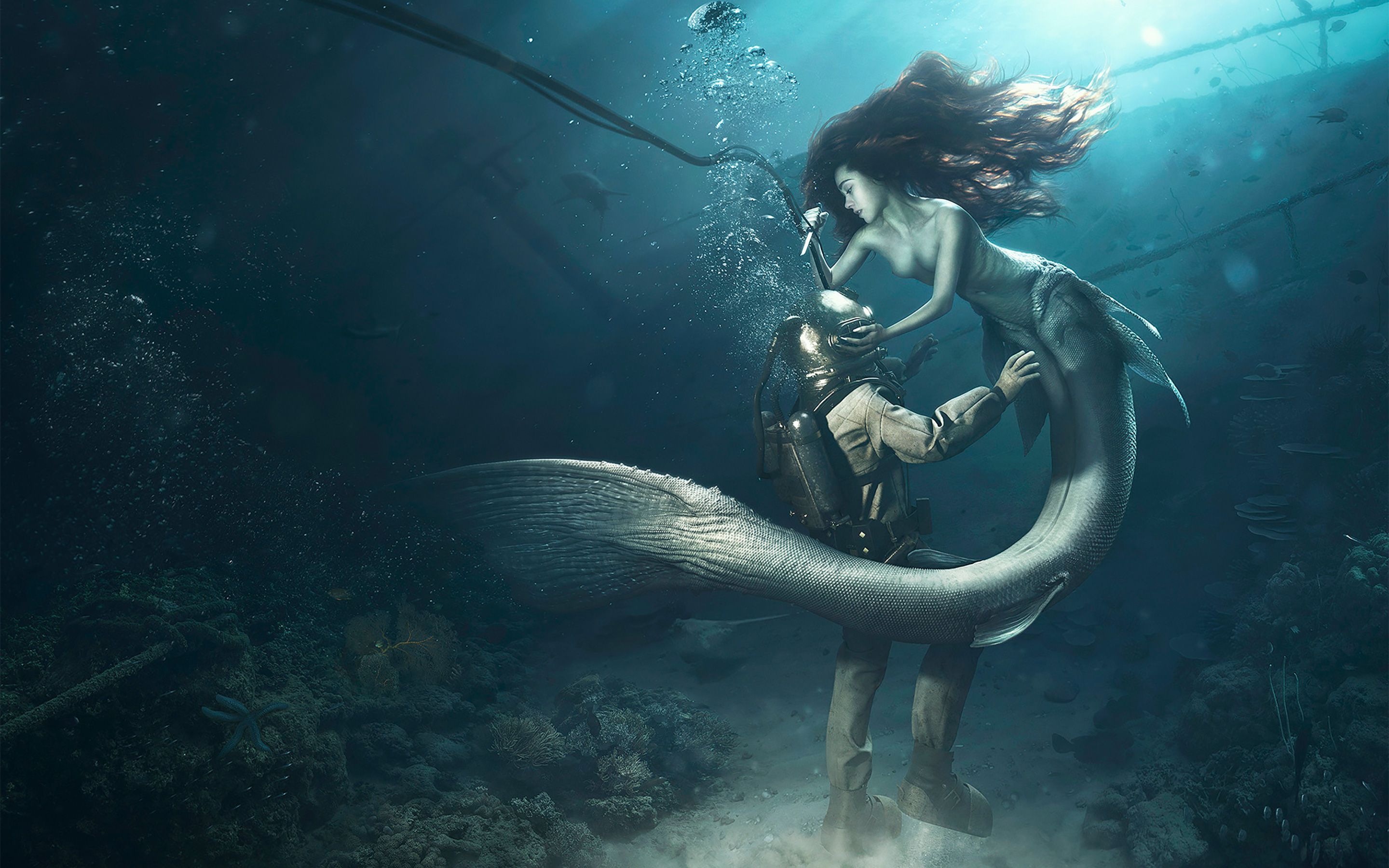 Witcher Mermaid Wallpapers