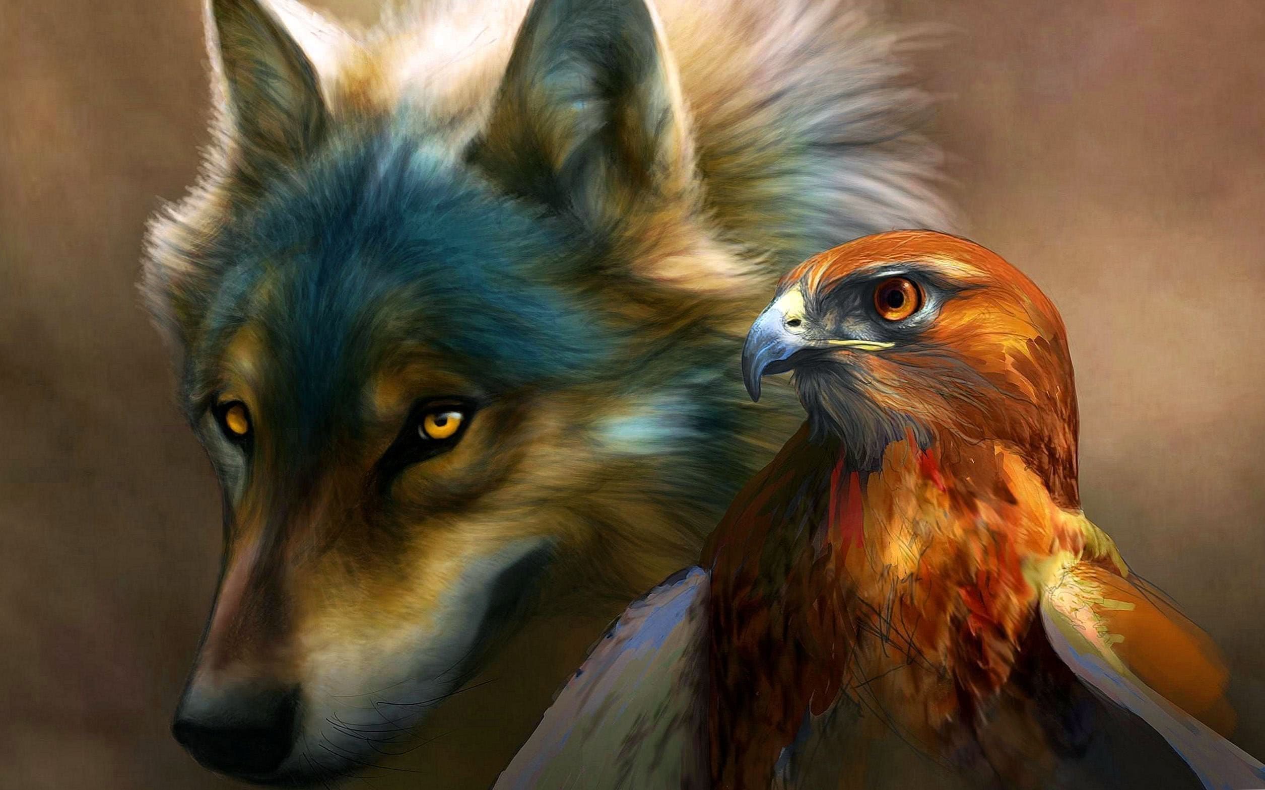 Wolf And Eagle Pictures Wallpapers