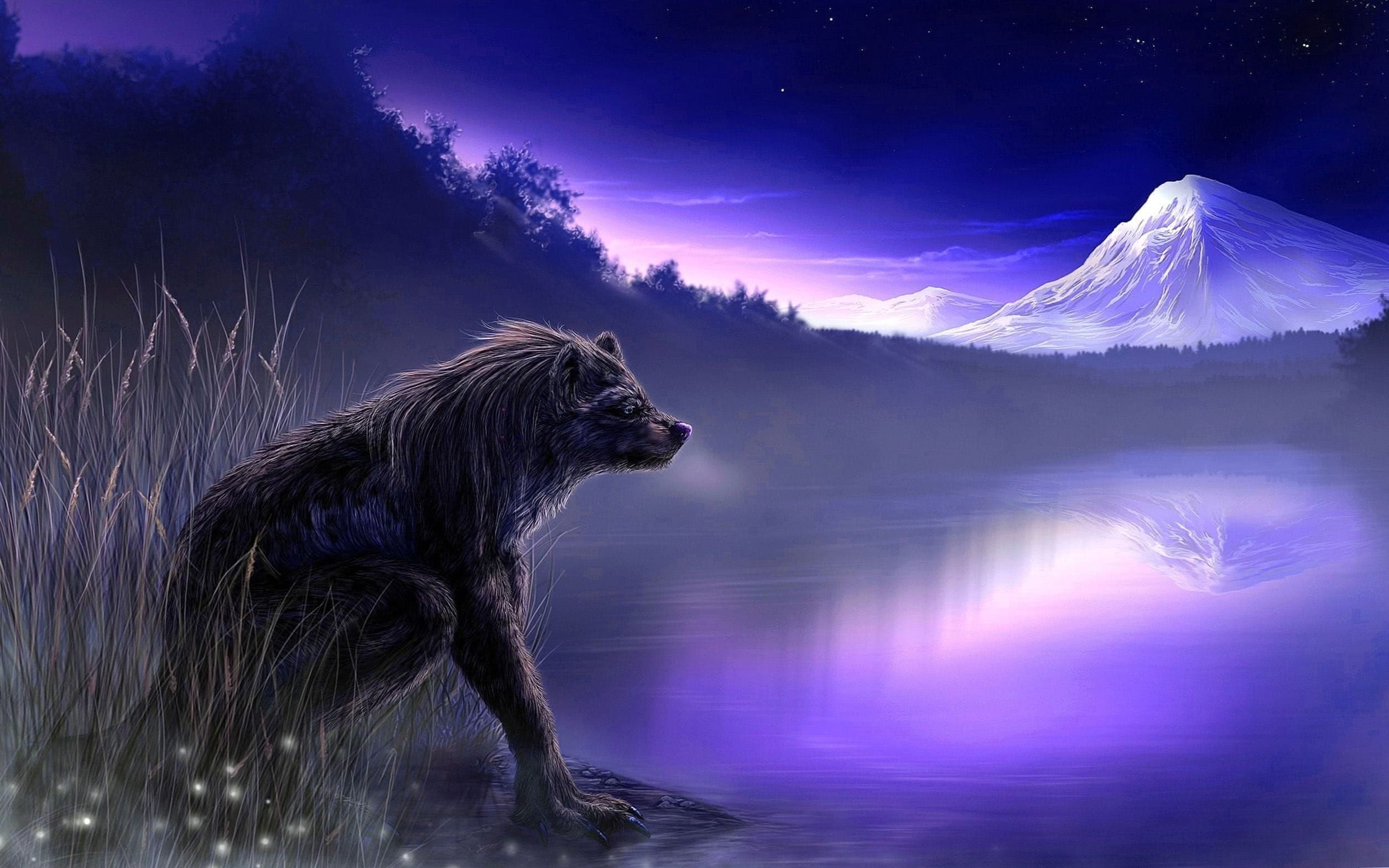 Wolf And Landscape Illustration Wallpapers