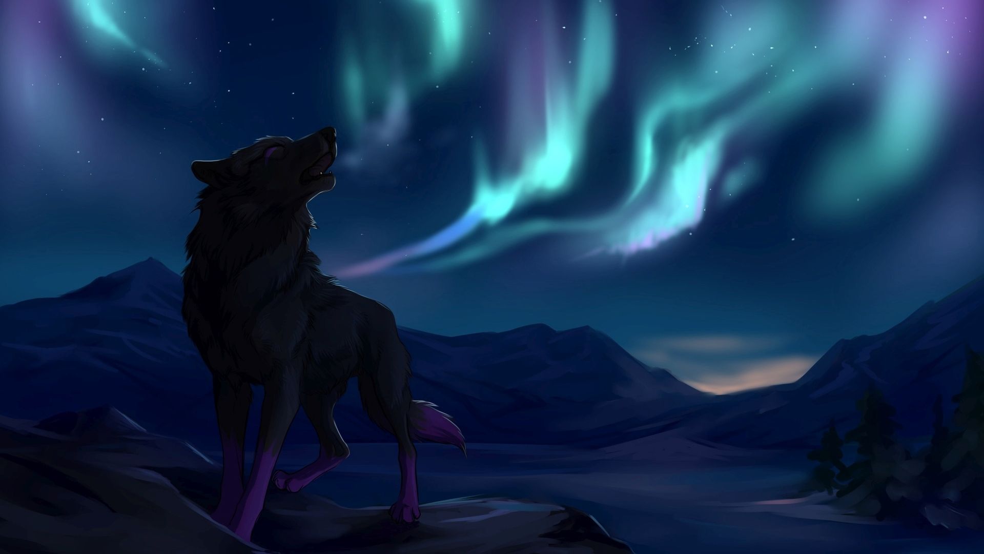 Wolf Aurora Borealis Wallpapers