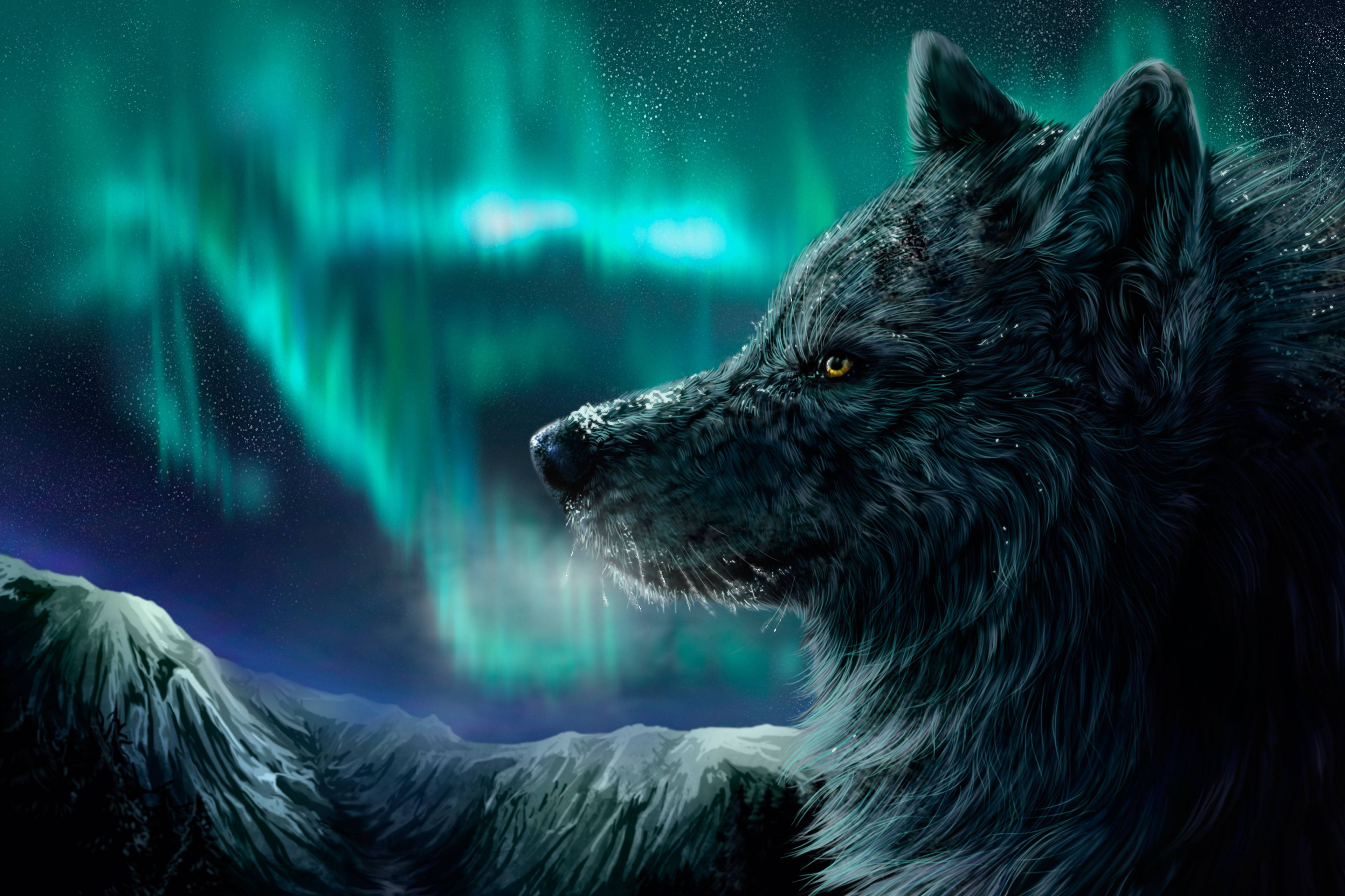 Wolf Aurora Borealis Wallpapers