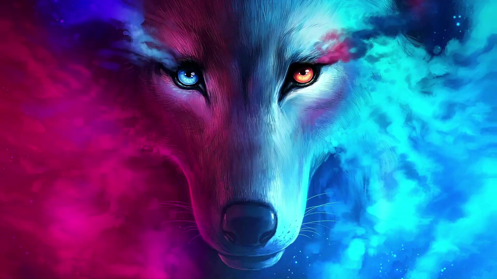 Wolf Aurora Borealis Wallpapers