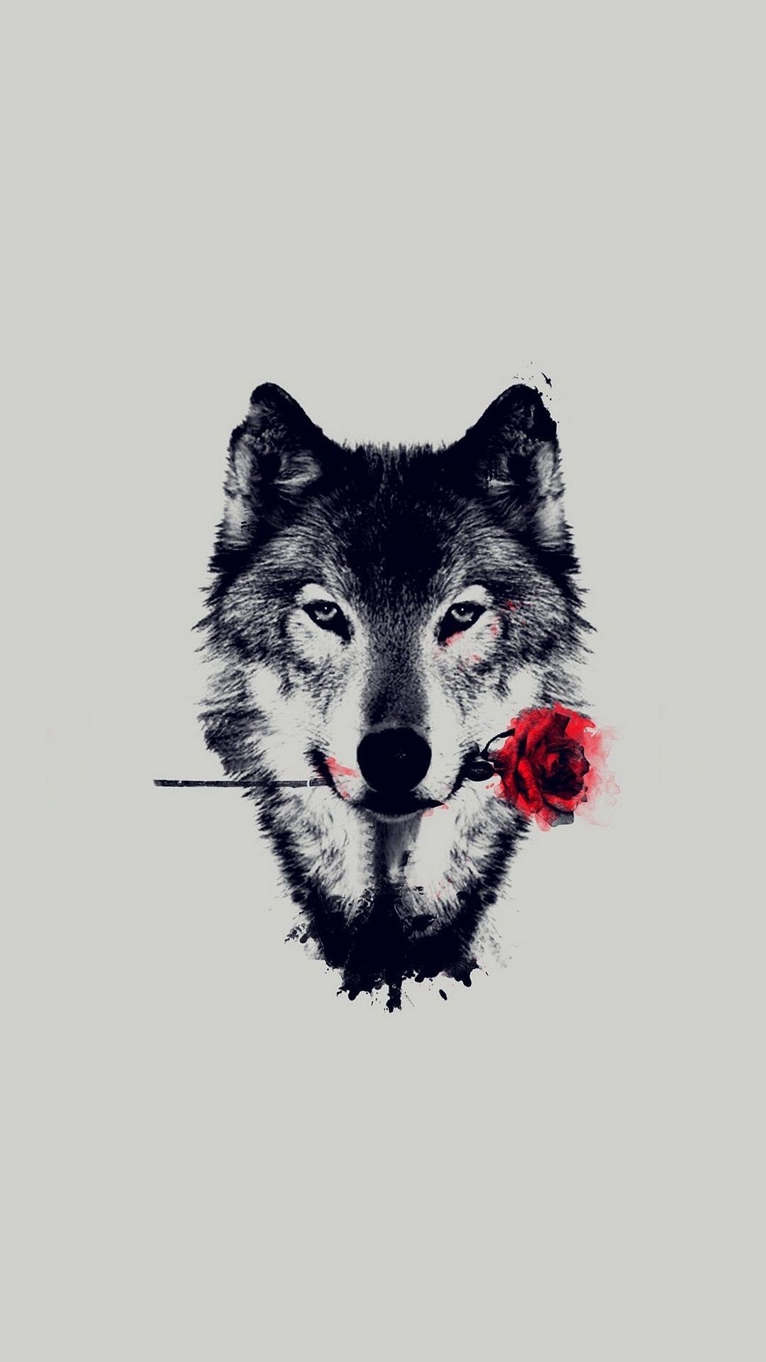 Wolf Backgrounds Phone