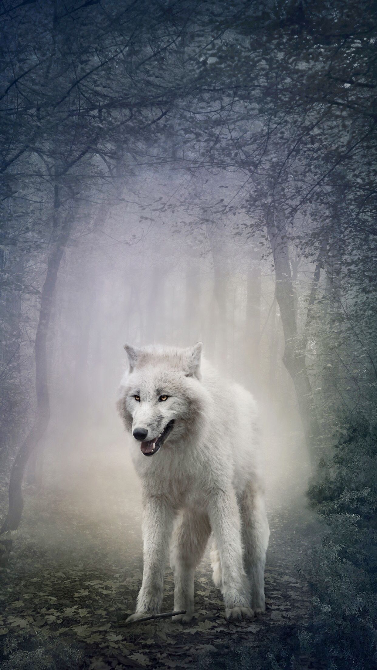 Wolf Backgrounds Phone