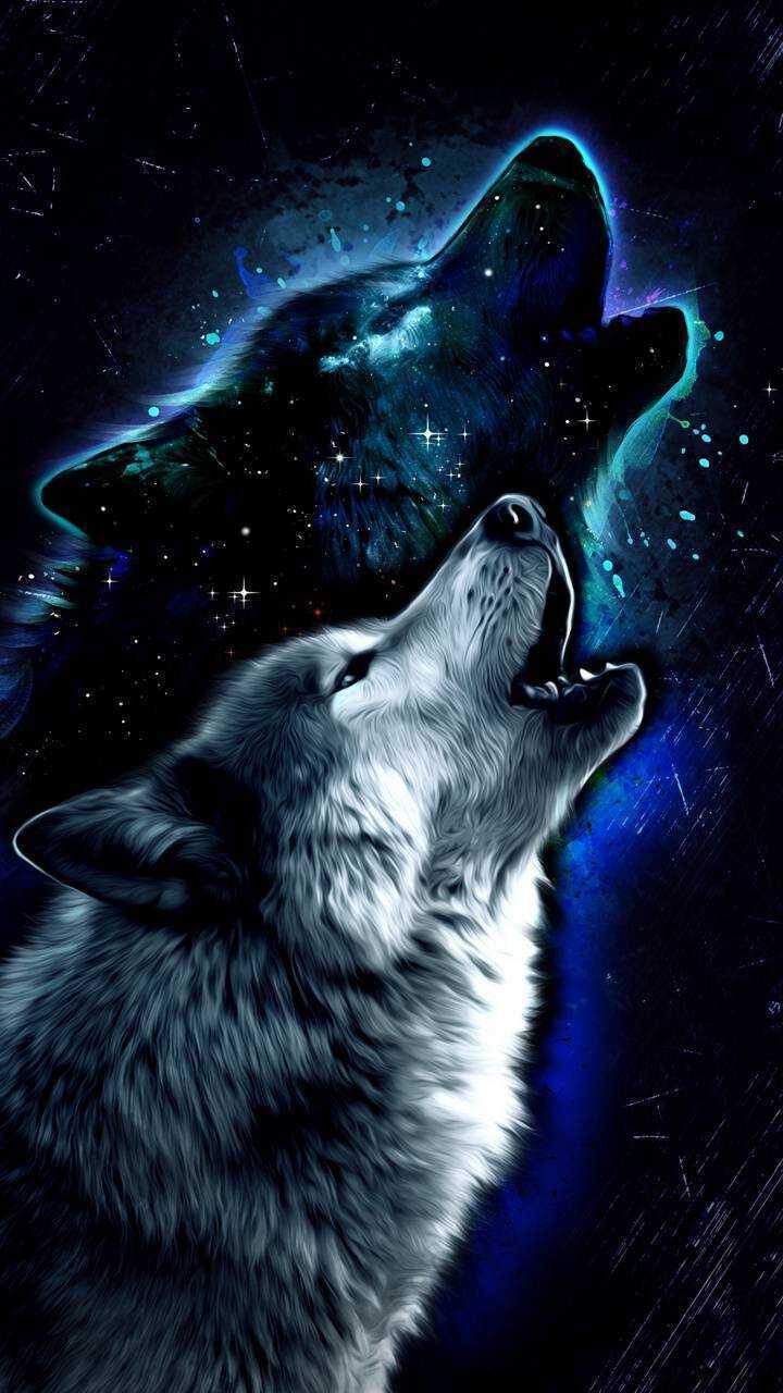 Wolf Cool Wallpapers