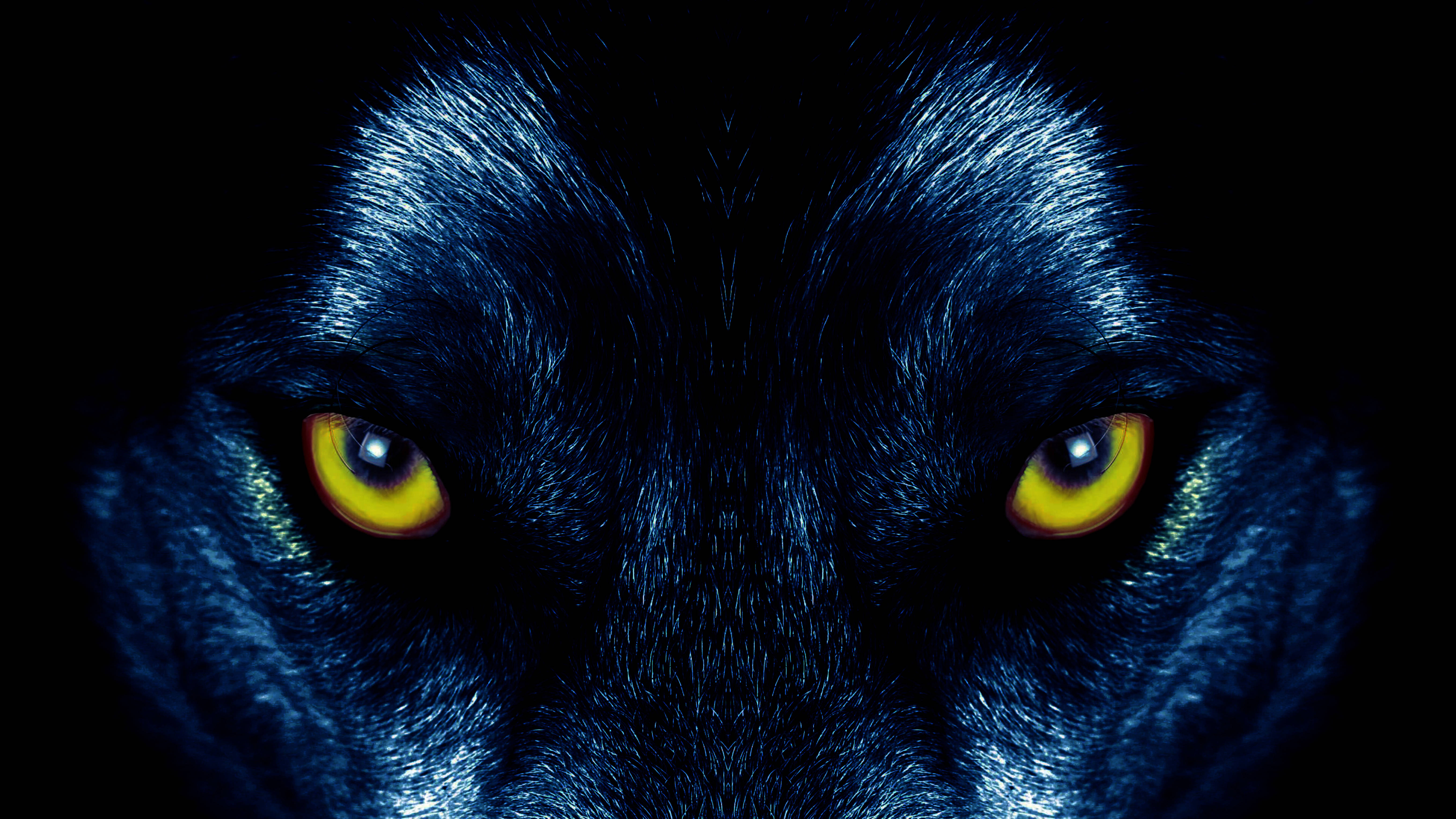 Wolf Eyes Wallpapers