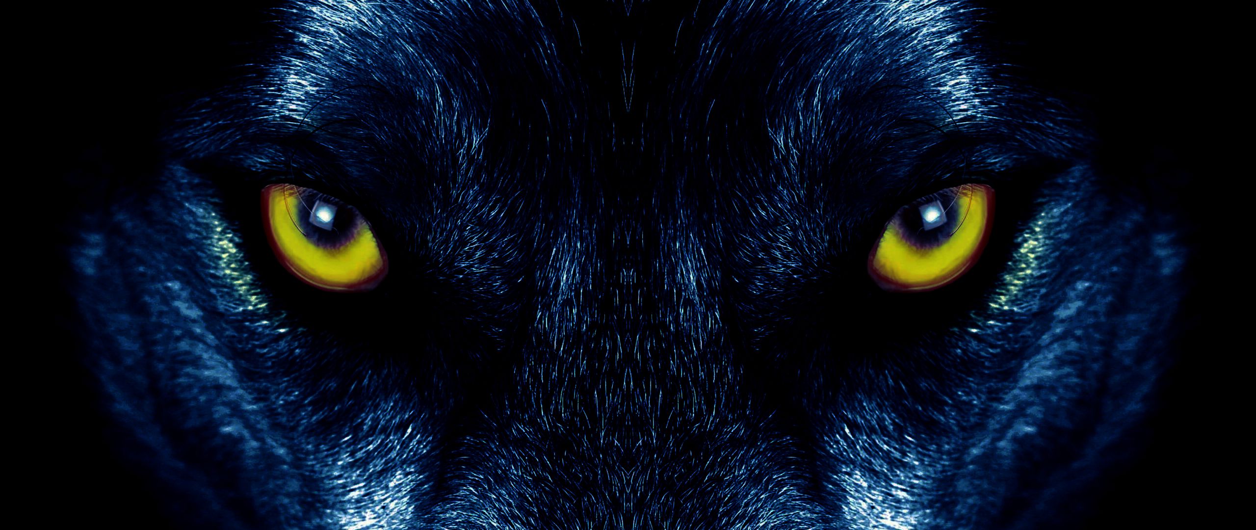 Wolf Eyes Wallpapers