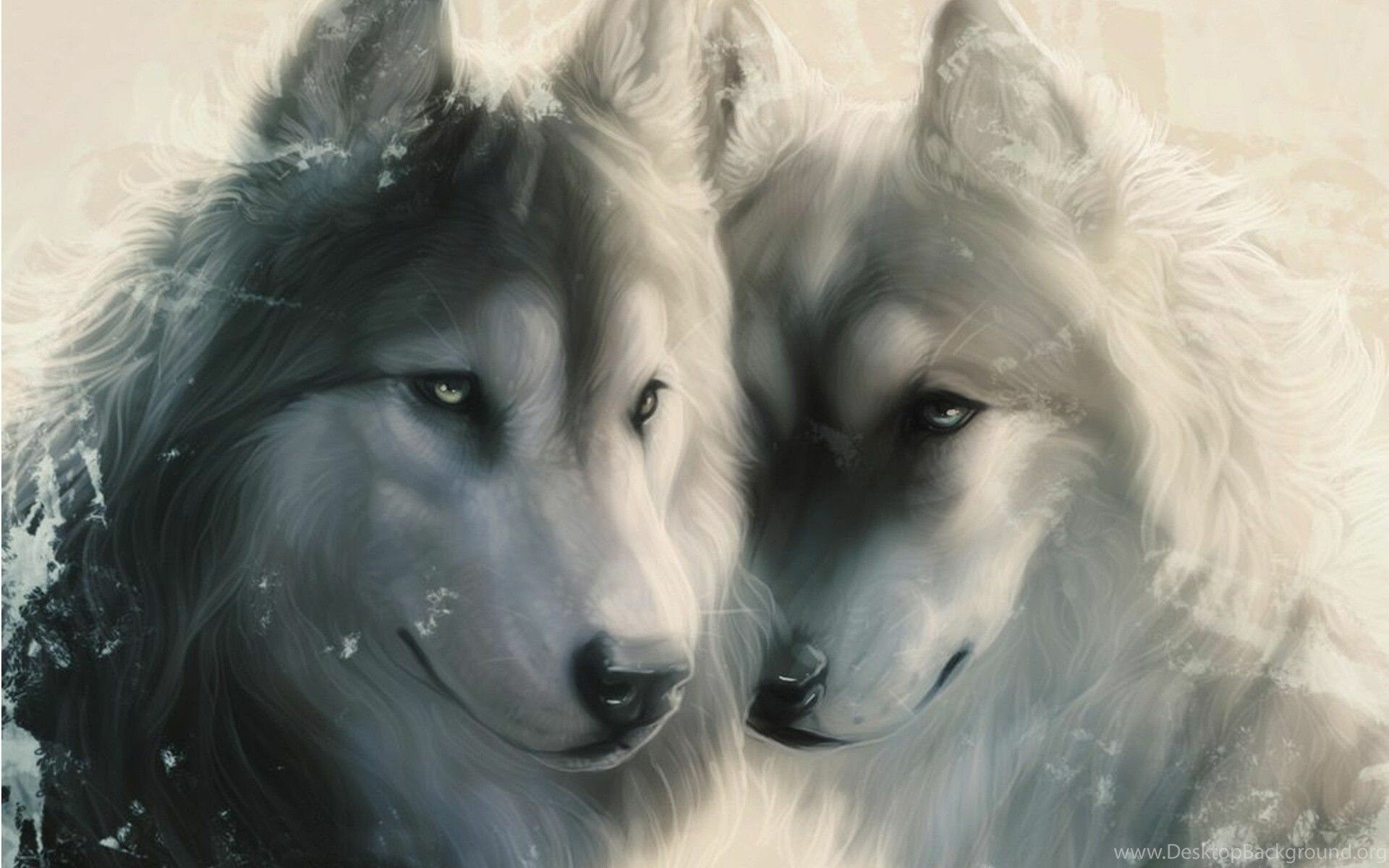 Wolf Face Wallpapers