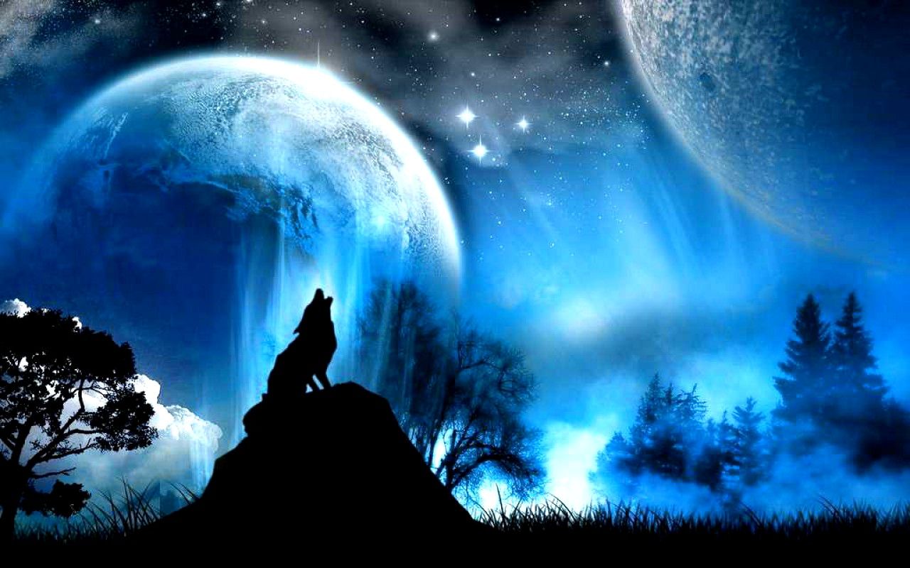 Wolf Fantasy Wallpapers