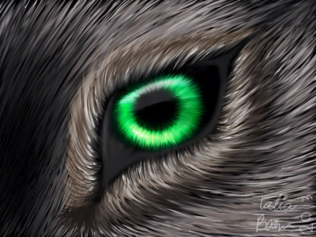 Wolf Green Eyes Artistic Wallpapers