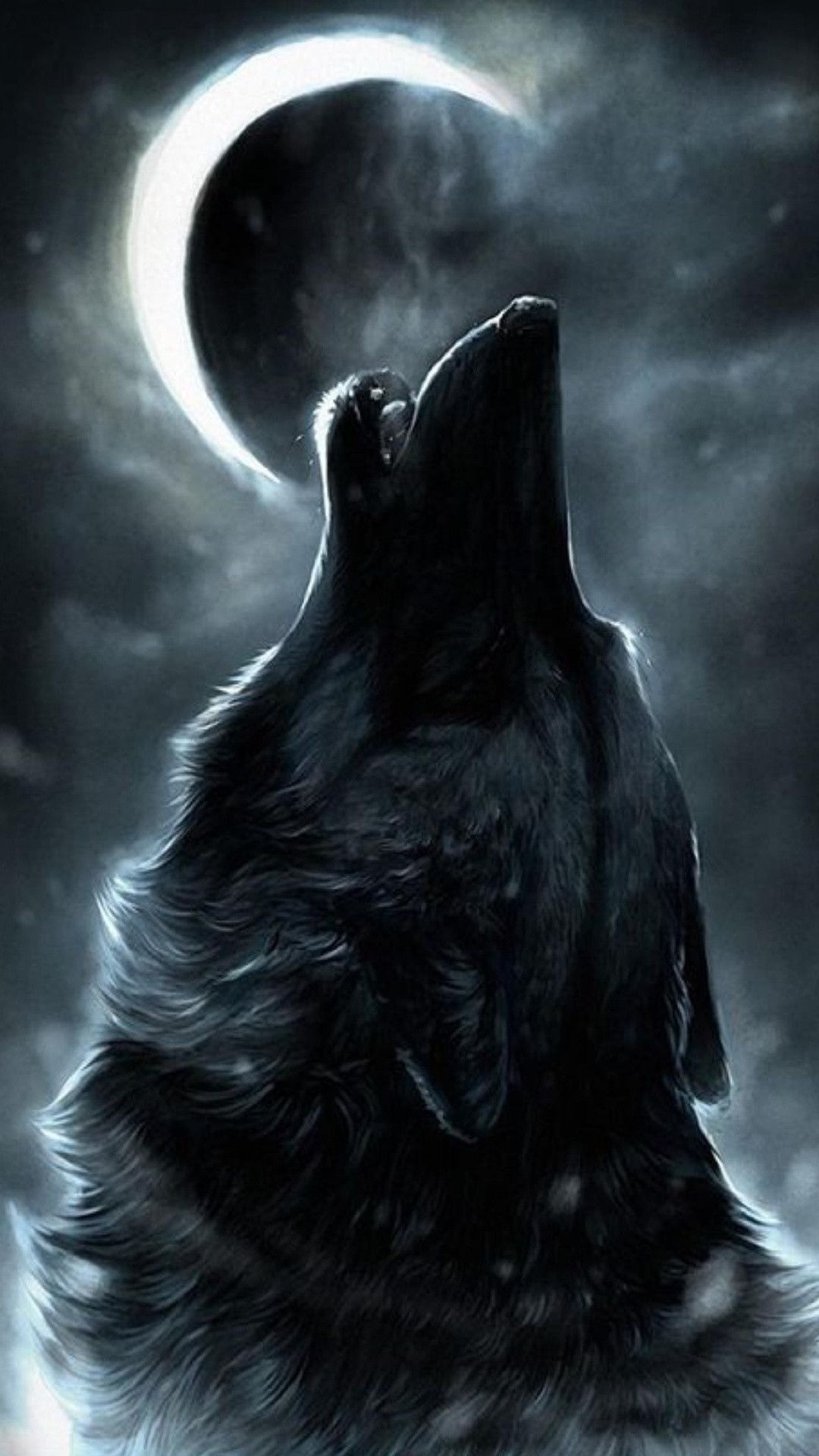 Wolf Hd Wallpapers