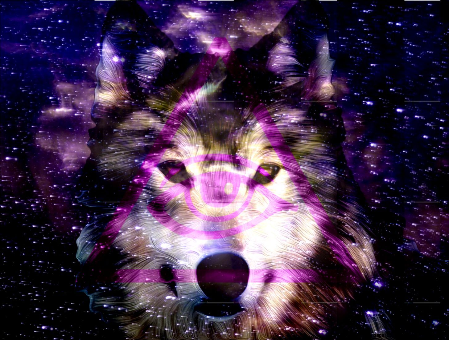 Wolf Hipster Wallpapers