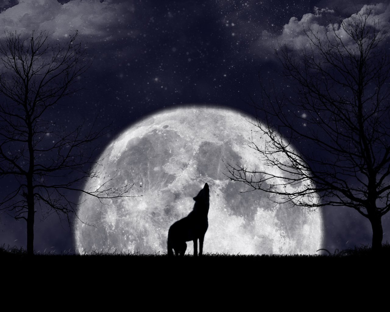 Wolf Howling At The Moon Wallpapers