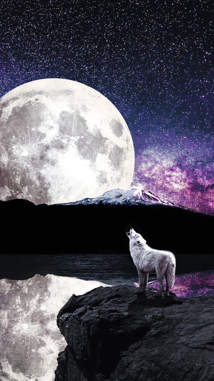 Wolf Howling At The Moon Wallpapers