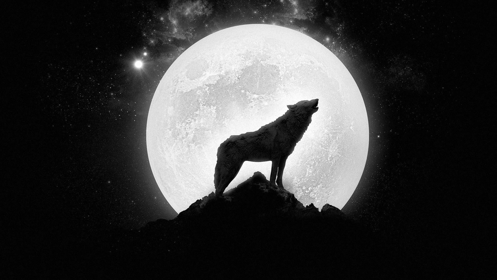 Wolf Howling At The Moon Wallpapers