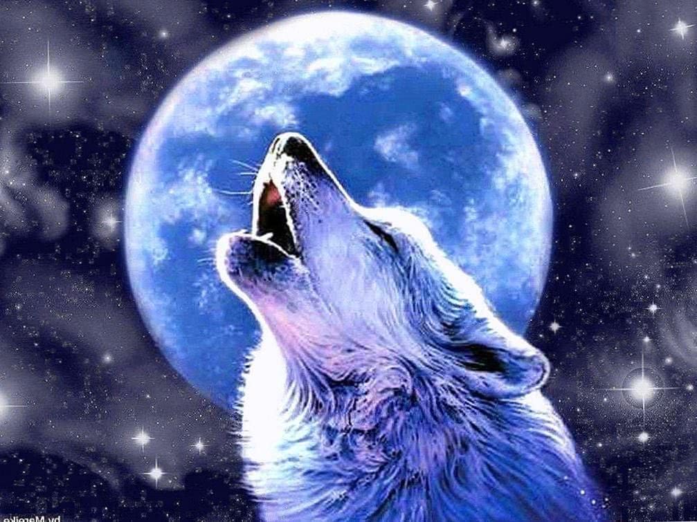 Wolf Howling At The Red Moon Wallpapers