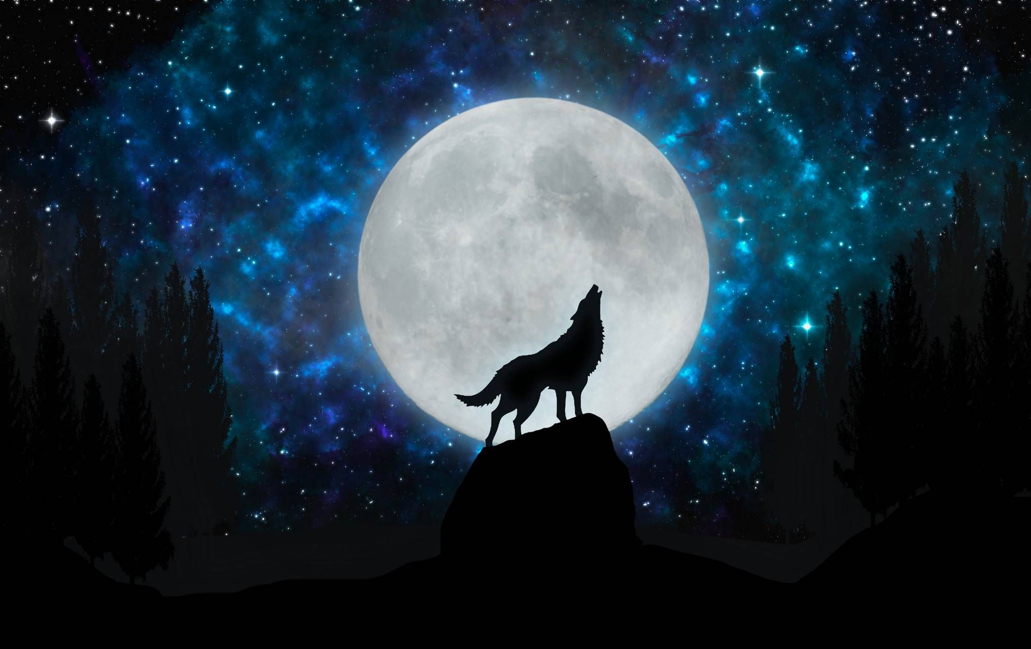 Wolf Howling Wallpapers