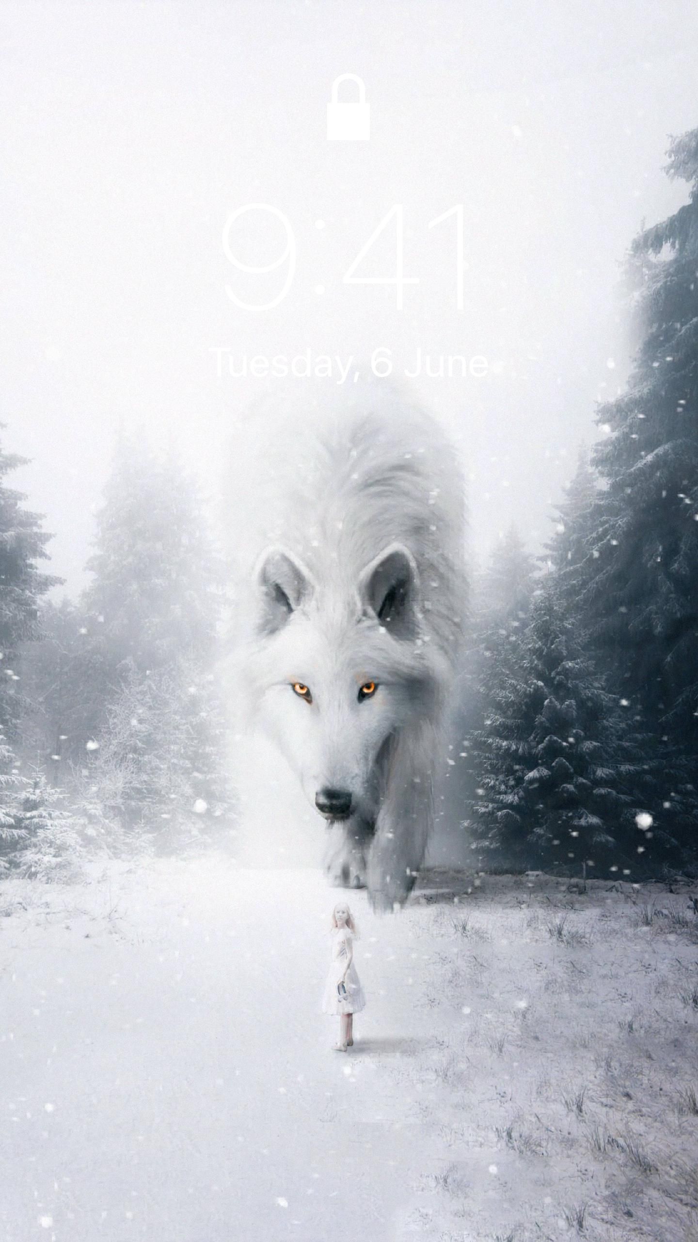 Wolf In Snow Wallpapers