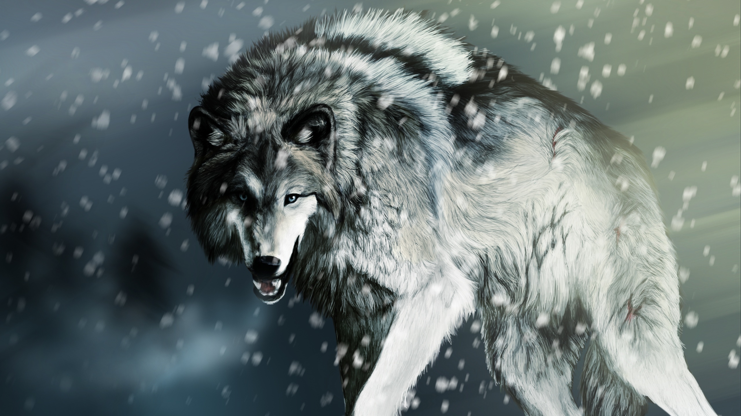 Wolf In Snow Wallpapers