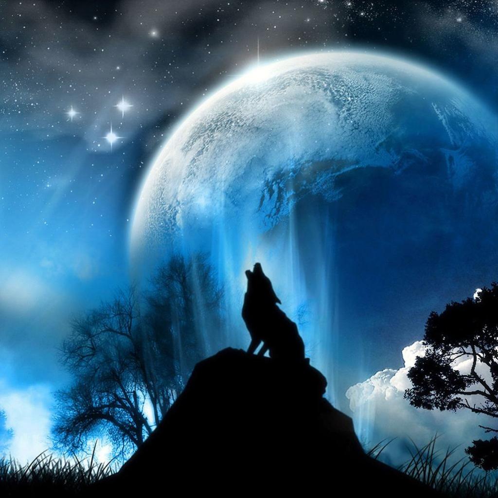 Wolf Ipad Wallpapers