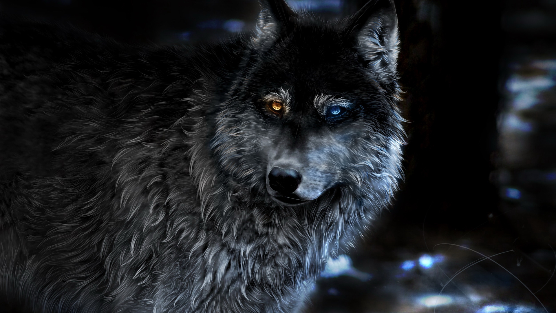 Wolf Laptop Wallpapers