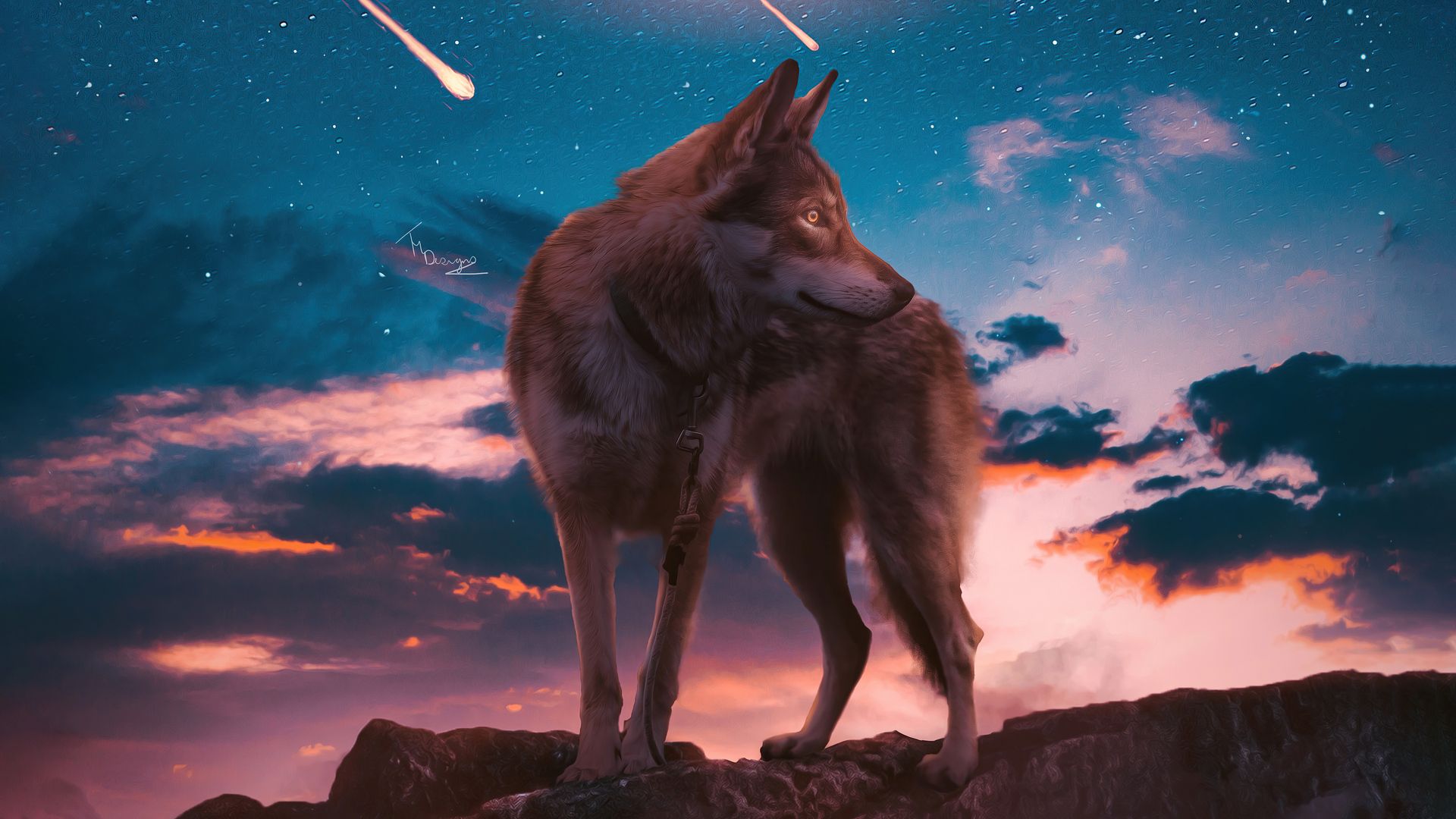 Wolf Laptop Wallpapers