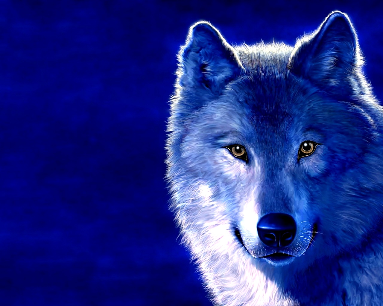 Wolf Laptop Wallpapers