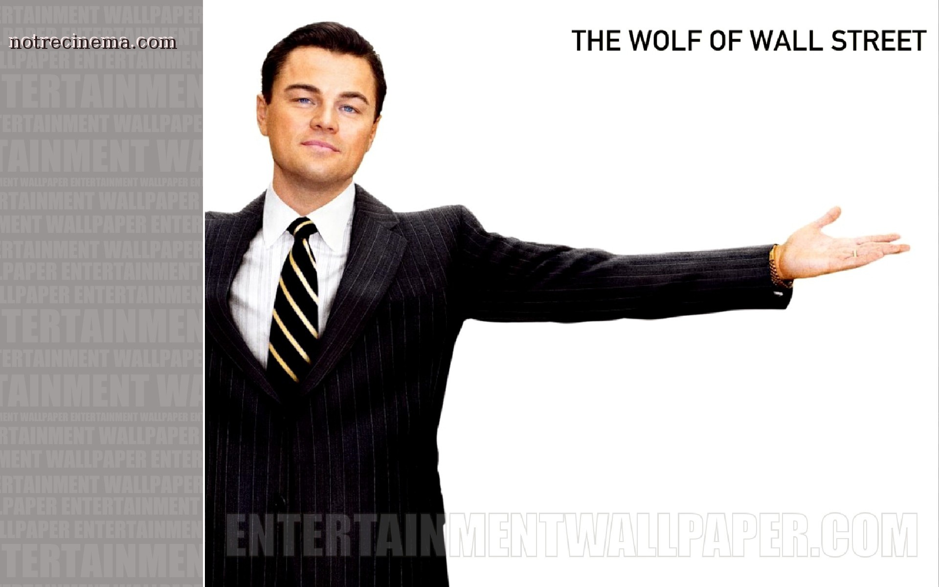 Wolf Of Wall Street Wallpapers