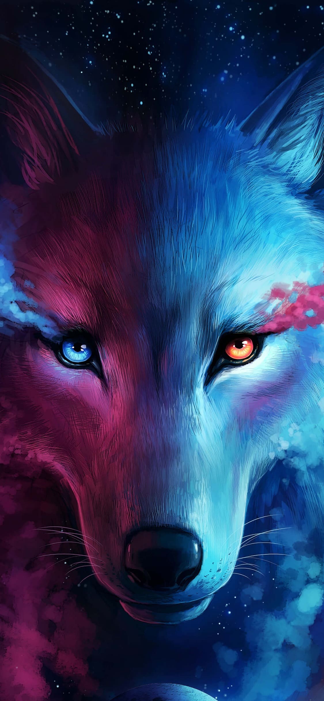 Wolf Phone Wallpapers