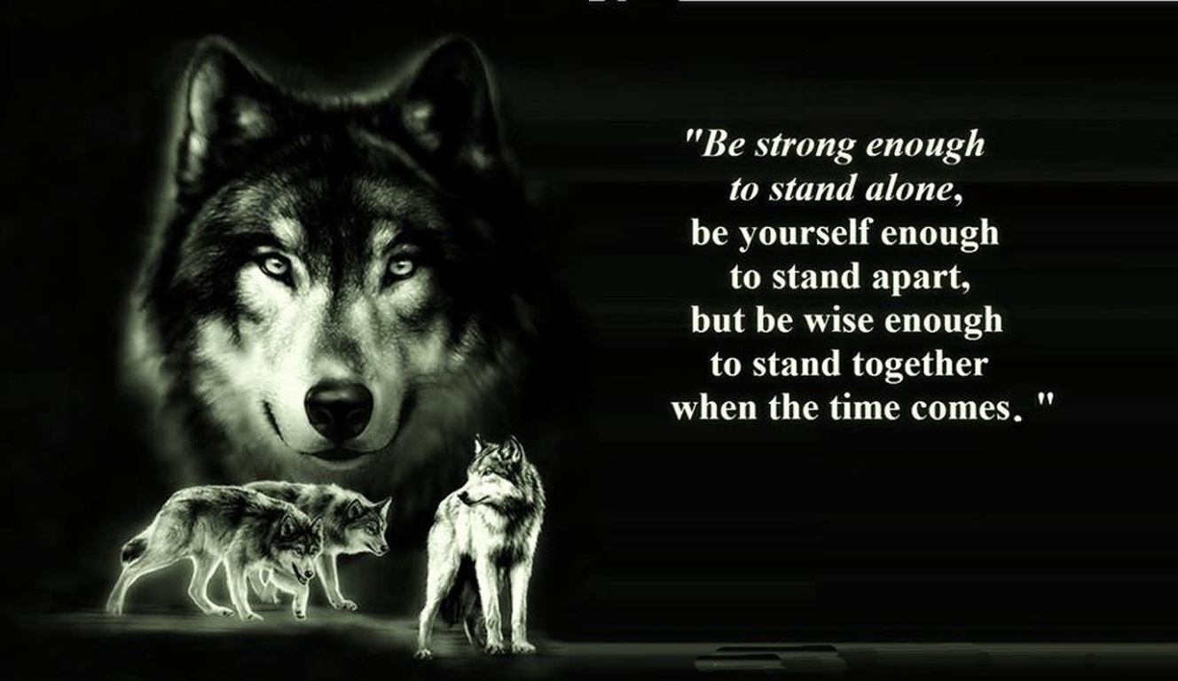 Wolf Quotes Wallpapers