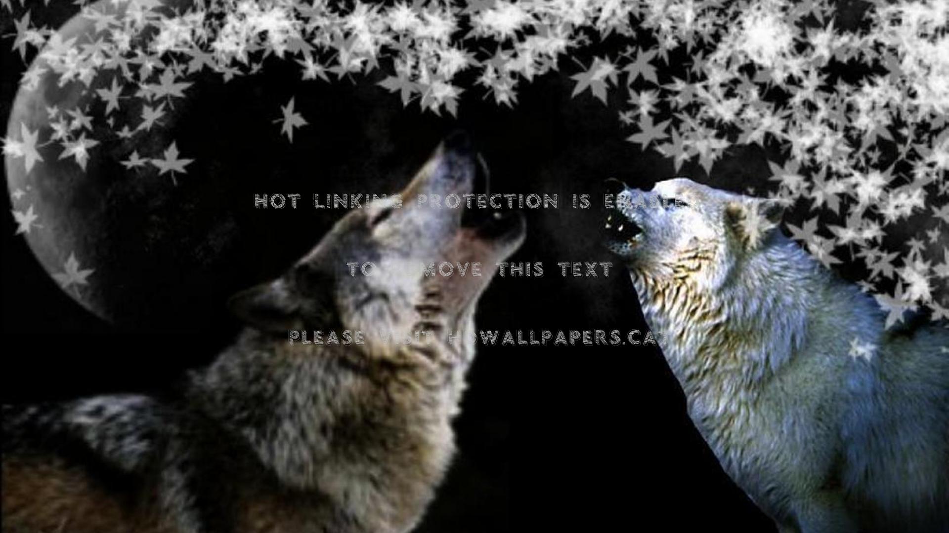 Wolf Quotes Wallpapers