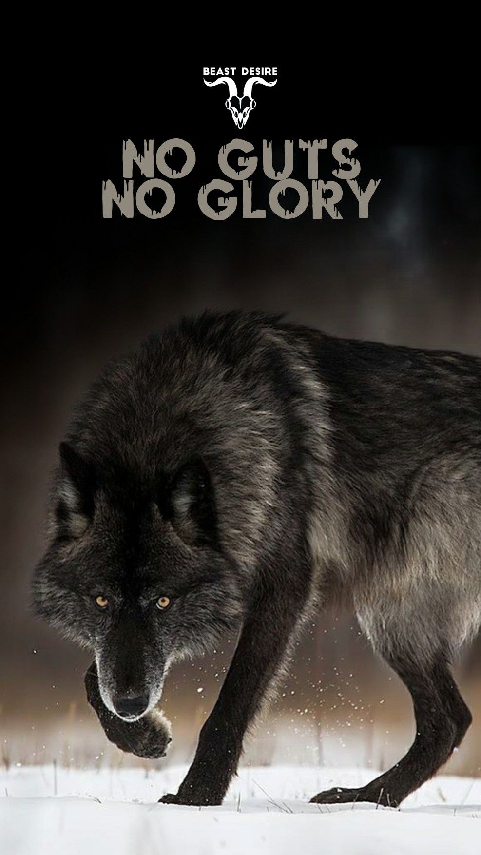 Wolf Quotes Wallpapers