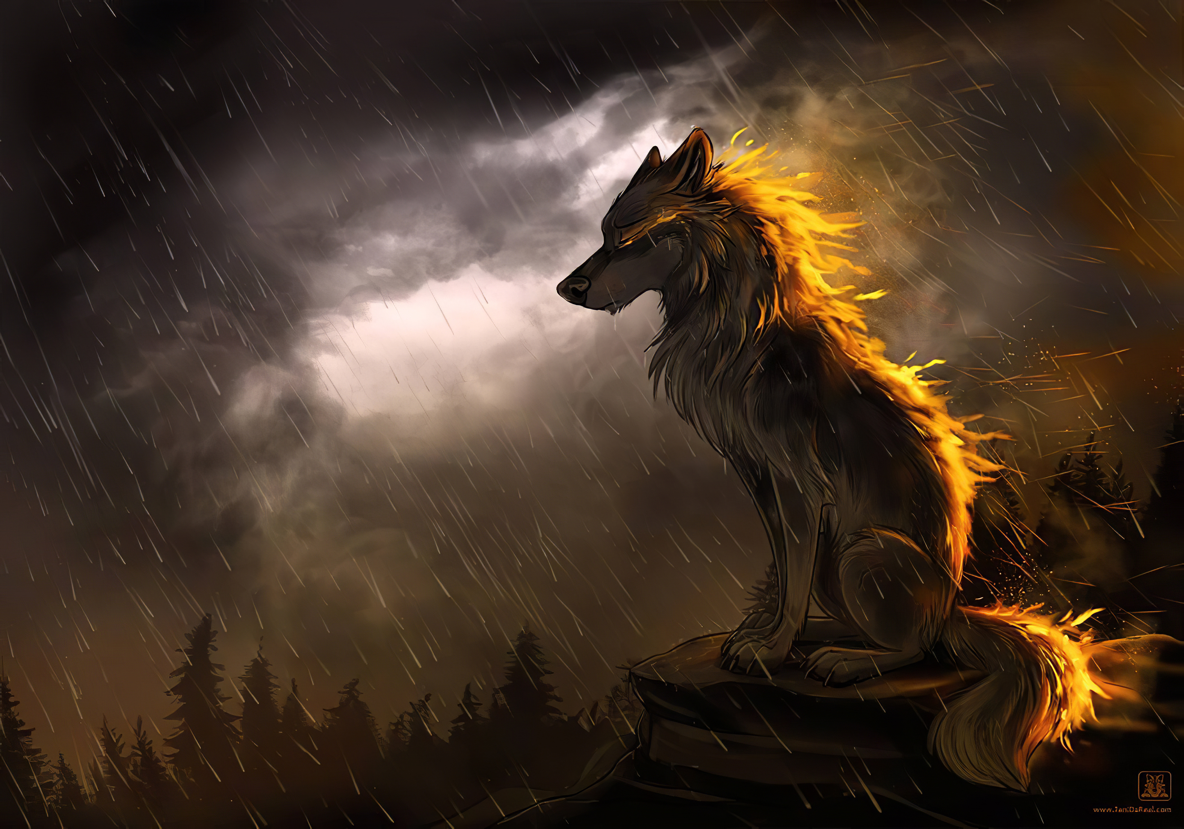 Wolves Rain Wallpapers