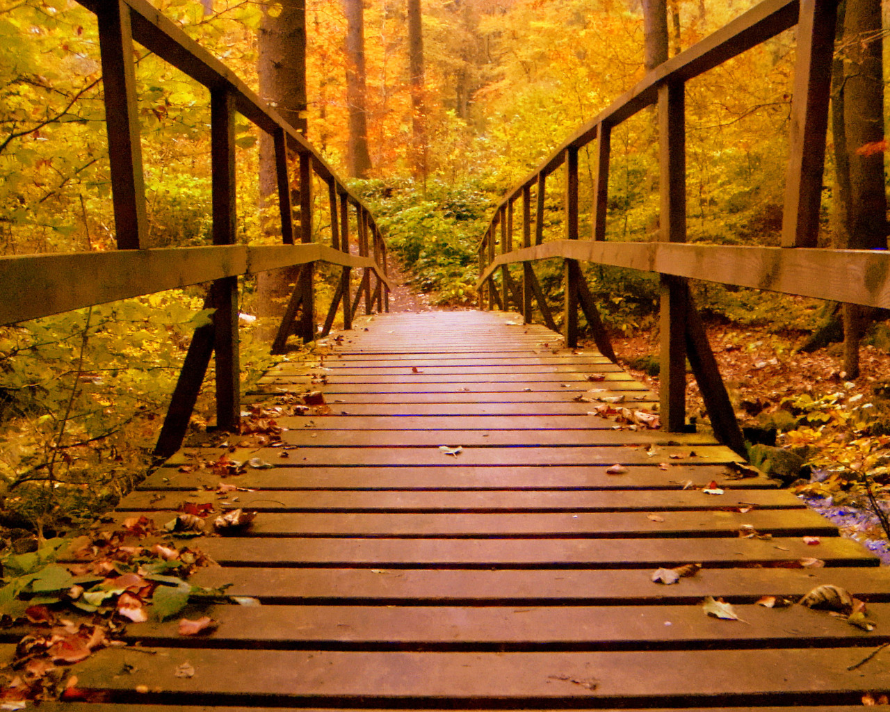 Wood Bridge Forest In Fall Wallpapers