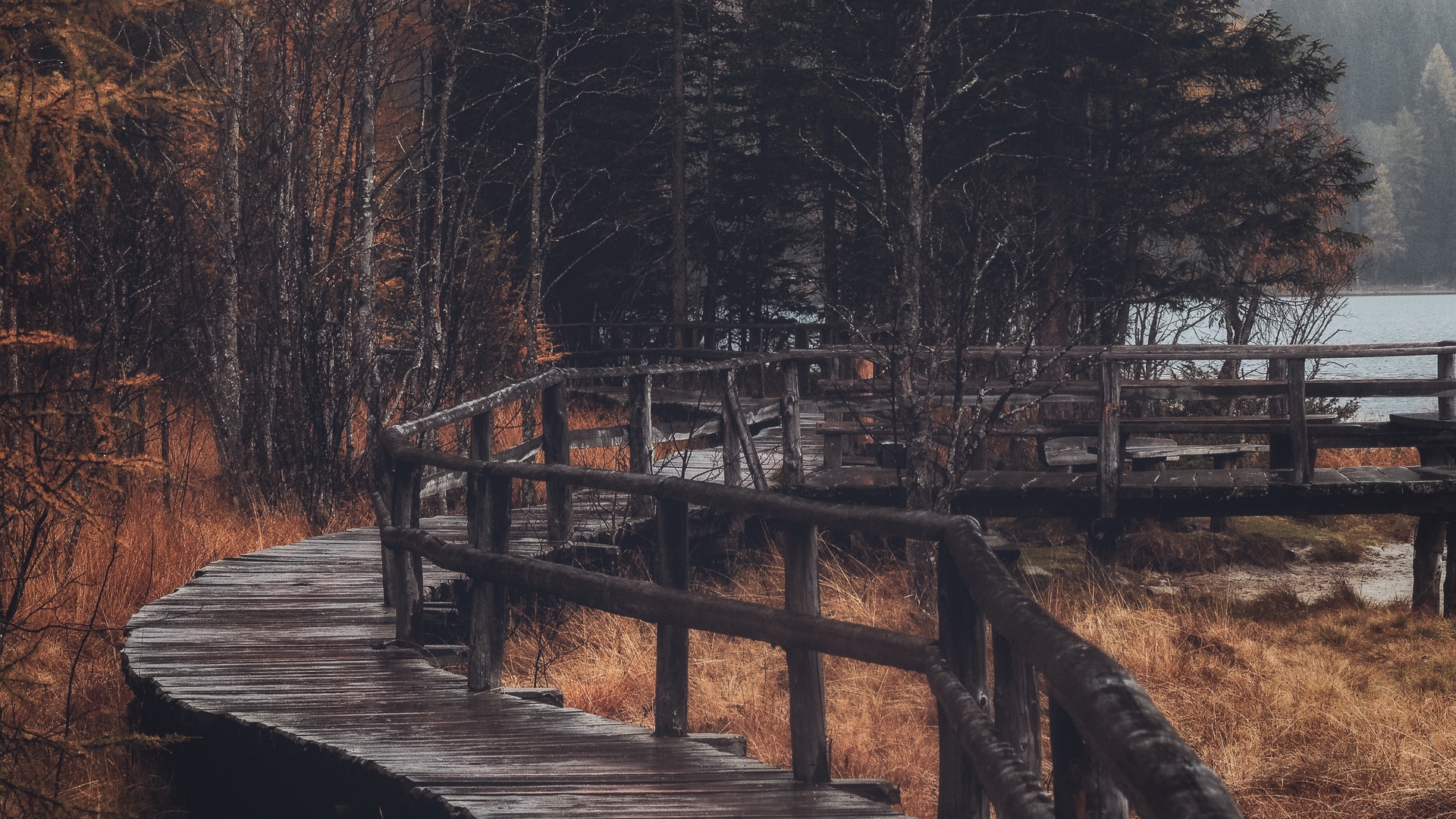 Wood Bridge Forest In Fall Wallpapers