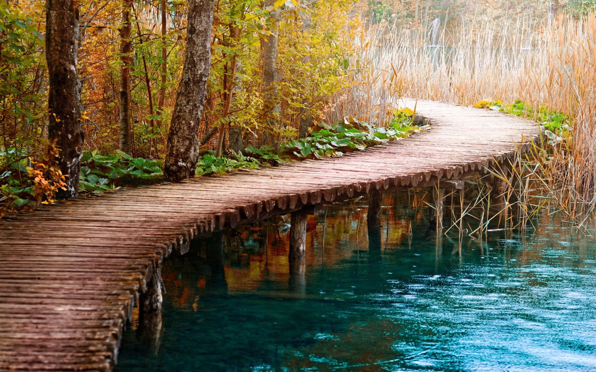 Wood Bridge Forest In Fall Wallpapers