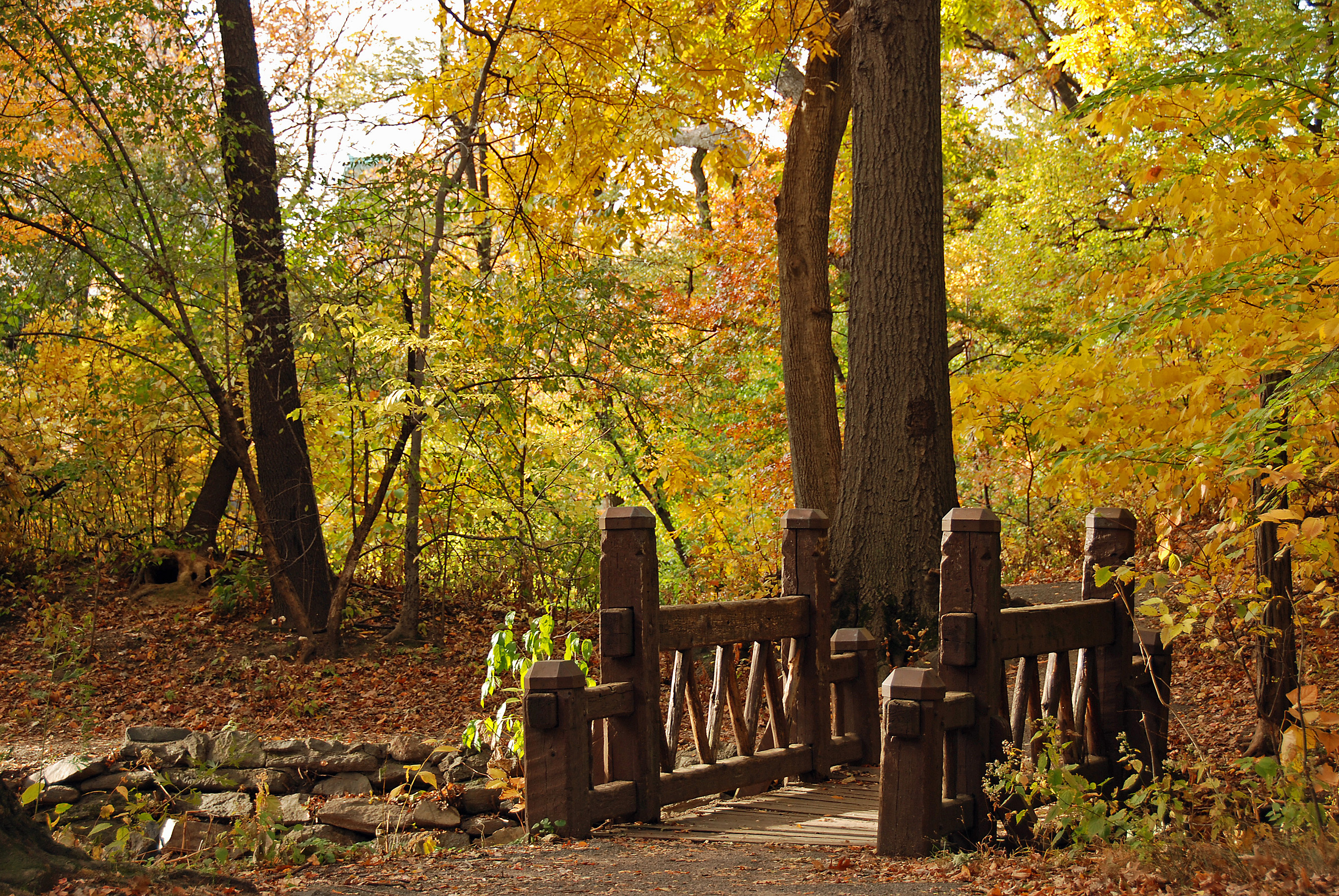 Wood Bridge Forest In Fall Wallpapers