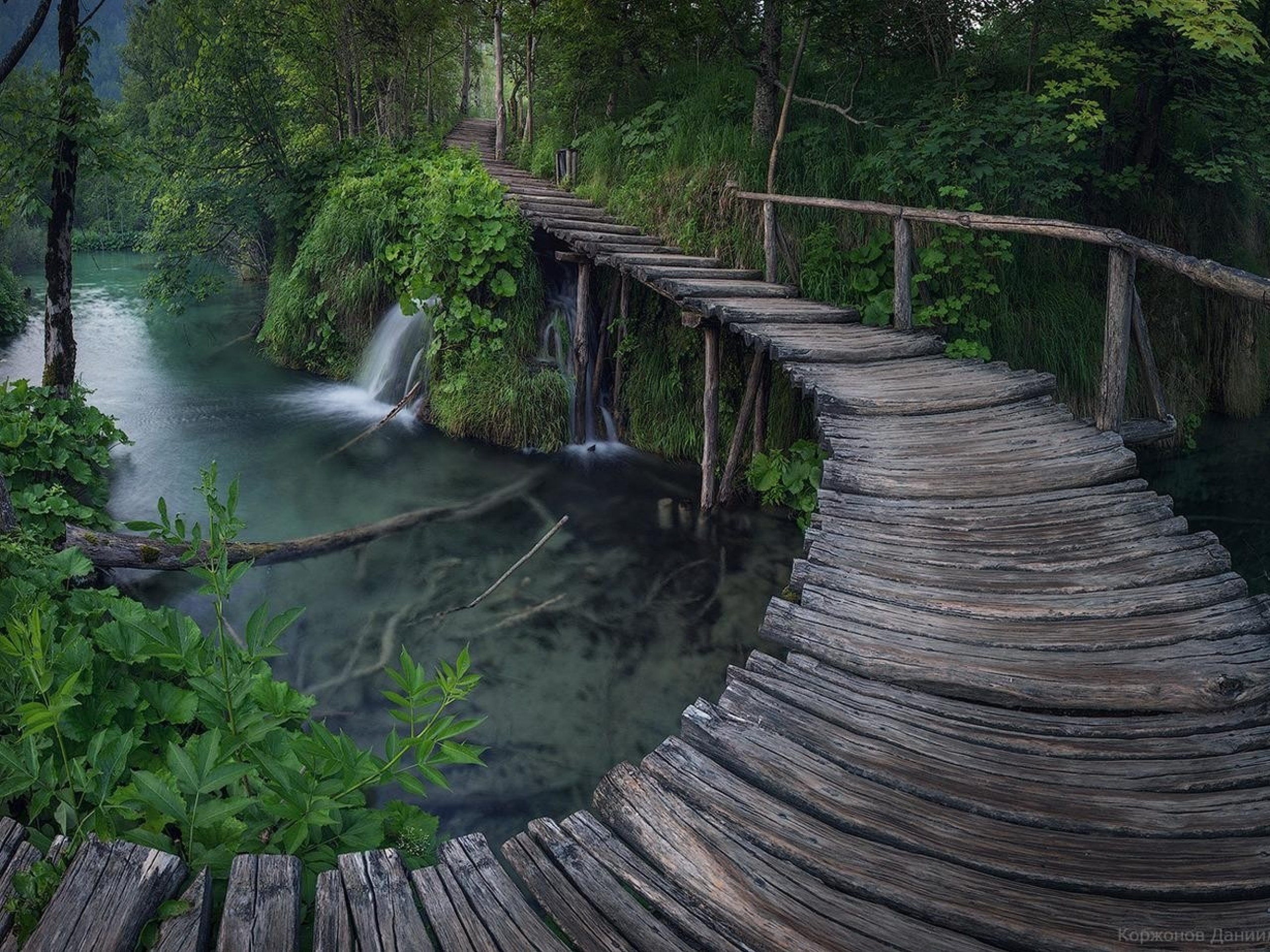 Wood Bridge Forest In Fall Wallpapers