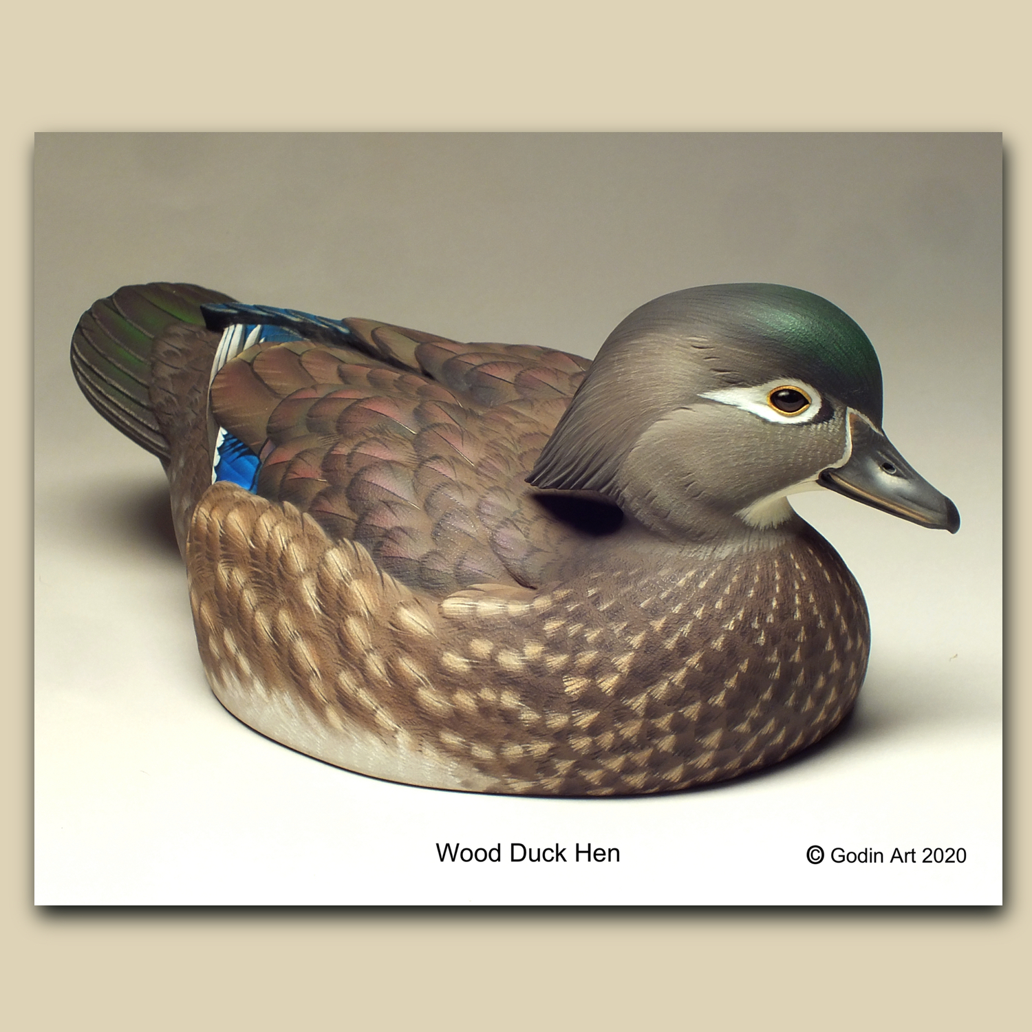 Wood Duck Wallpapers