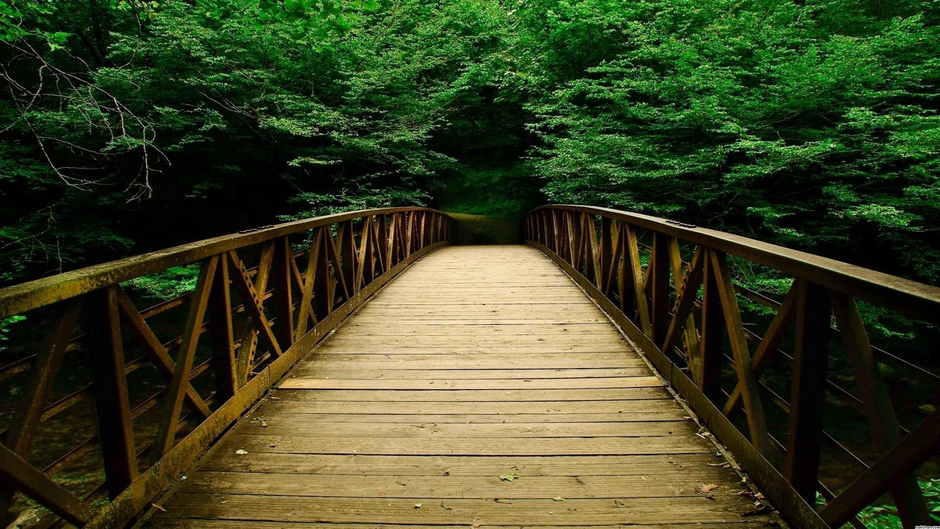 Wooden Bridge Wallpapers