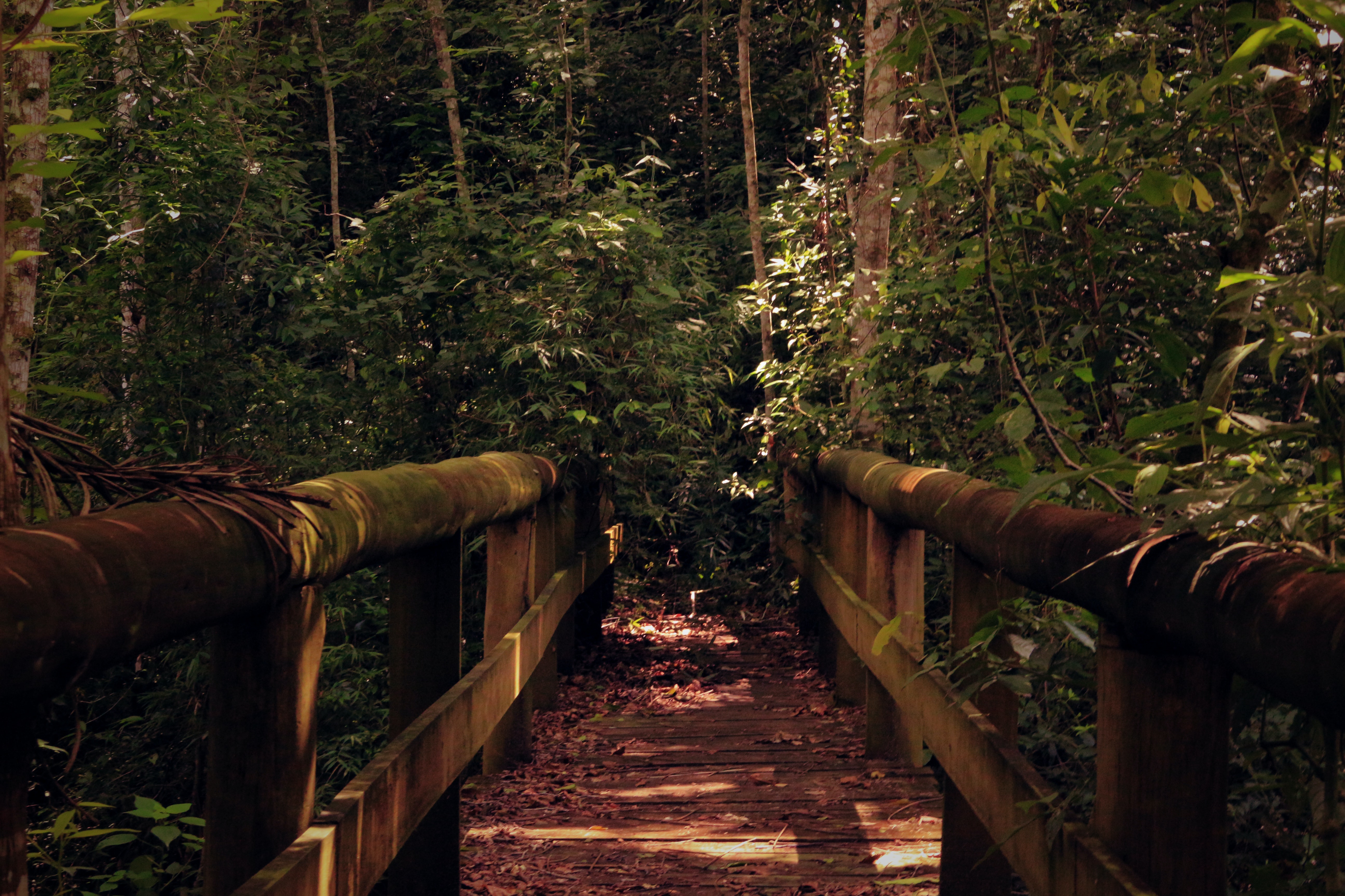 Wooden Bridge Wallpapers