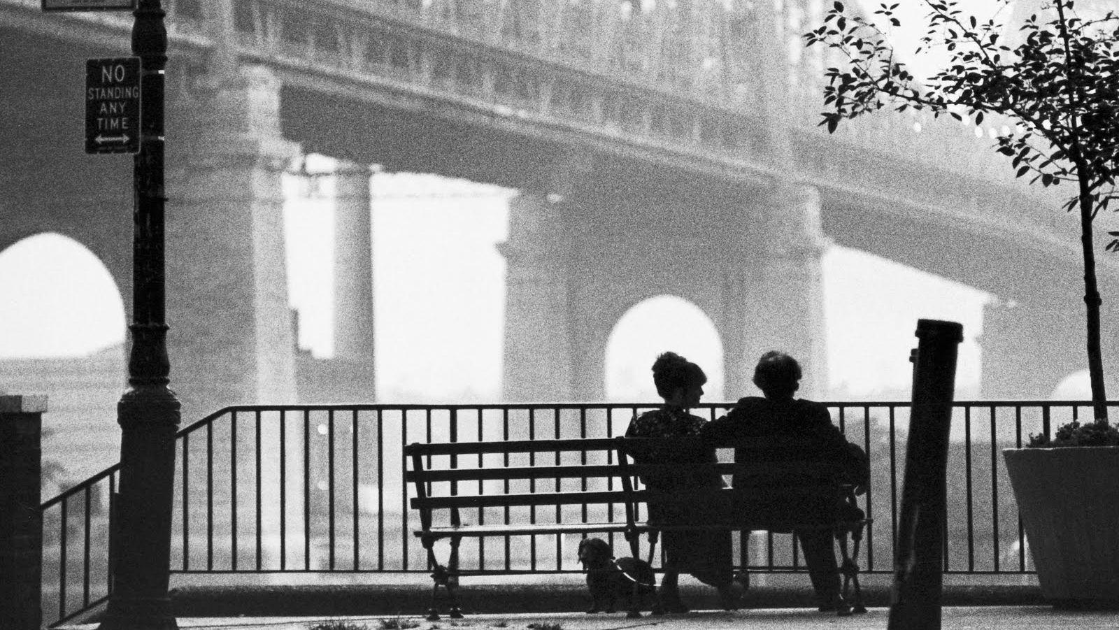 Woody Allen Wallpapers