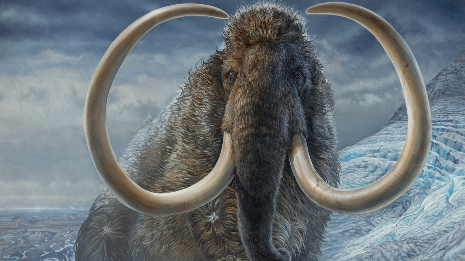 Wooly Mammoth Fortnite Wallpapers