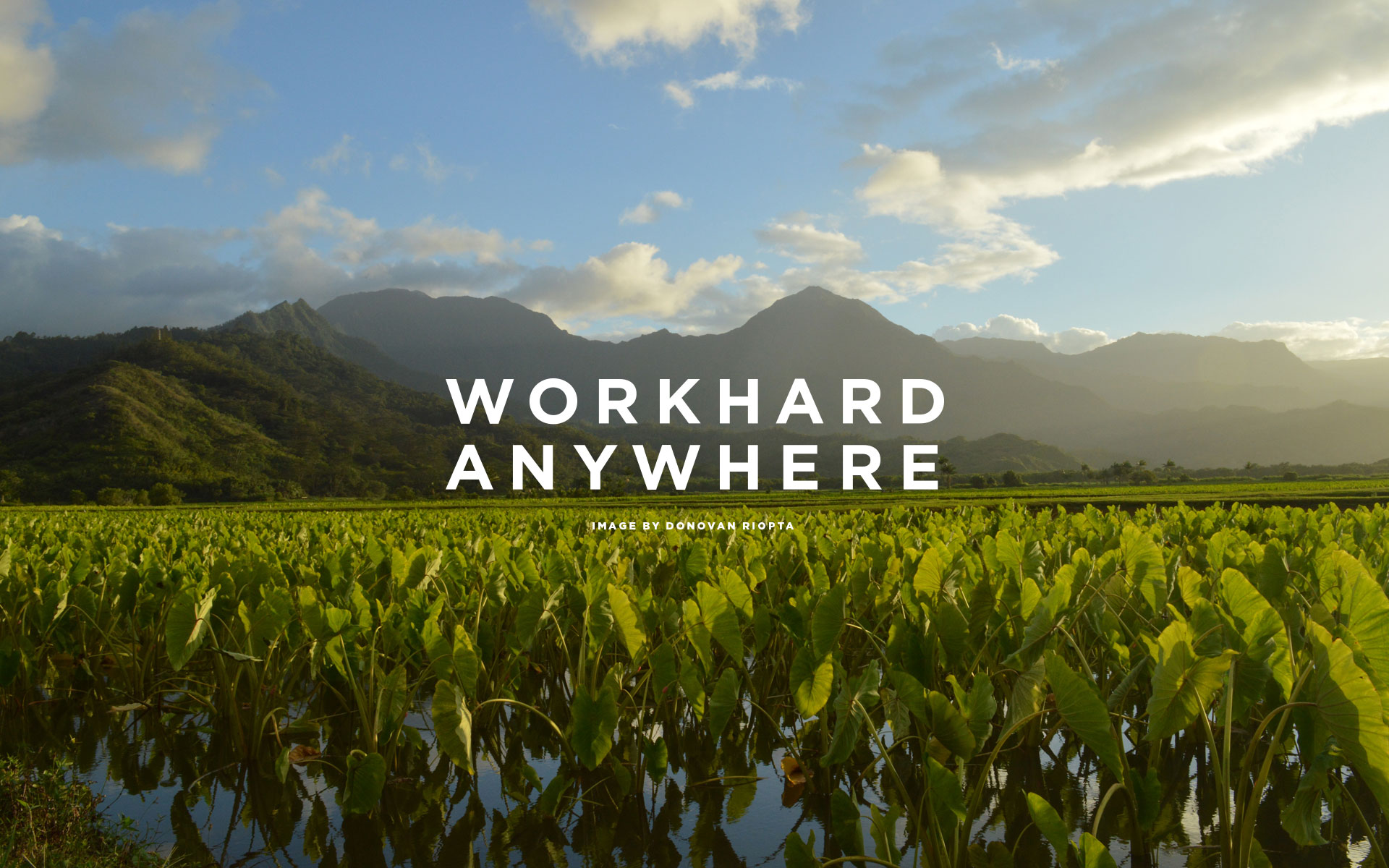 Work Hard Anywhere Wallpapers