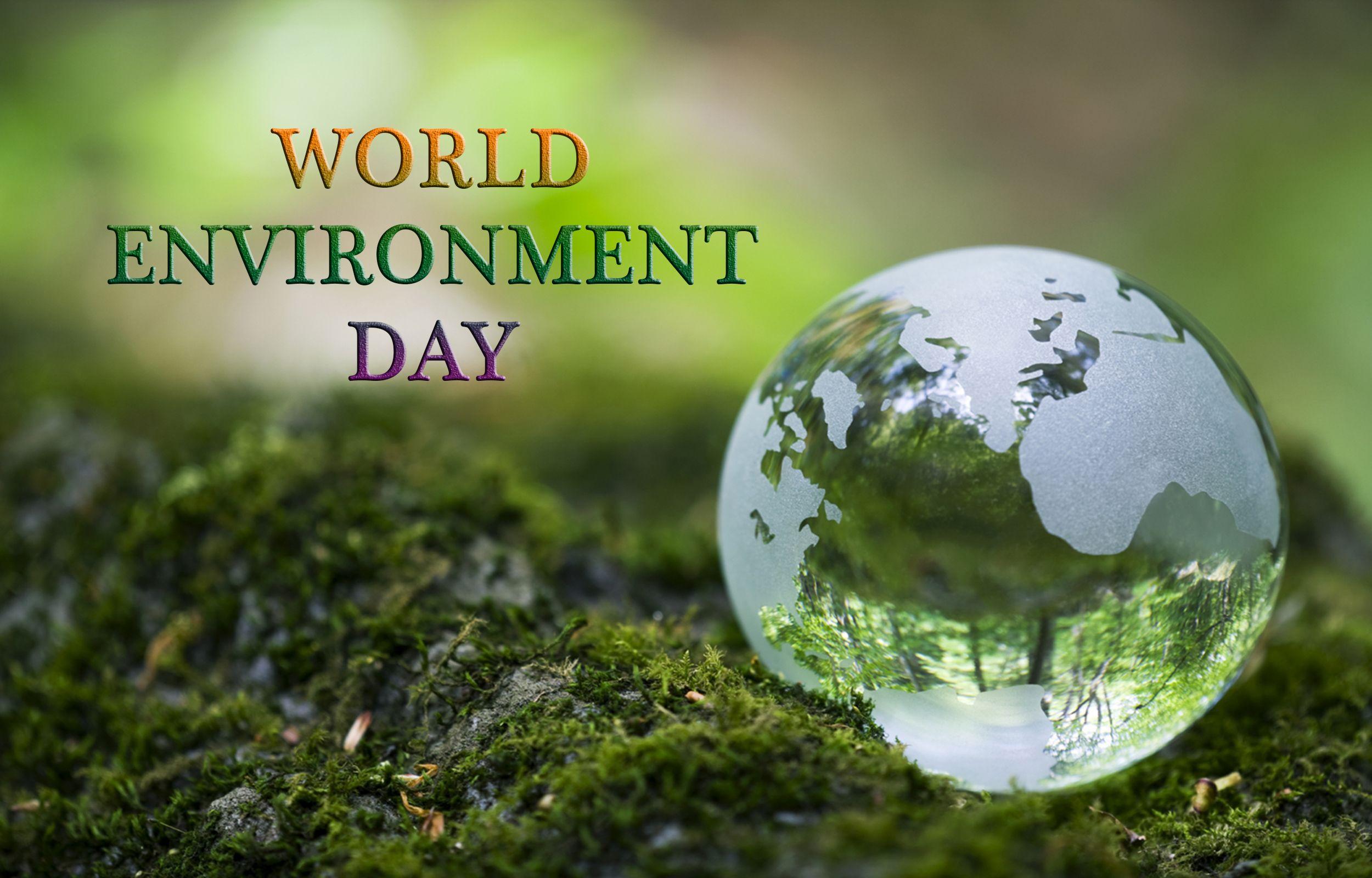 World Environment Day Wallpapers