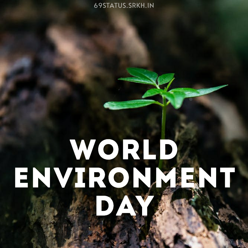 World Environment Day Wallpapers