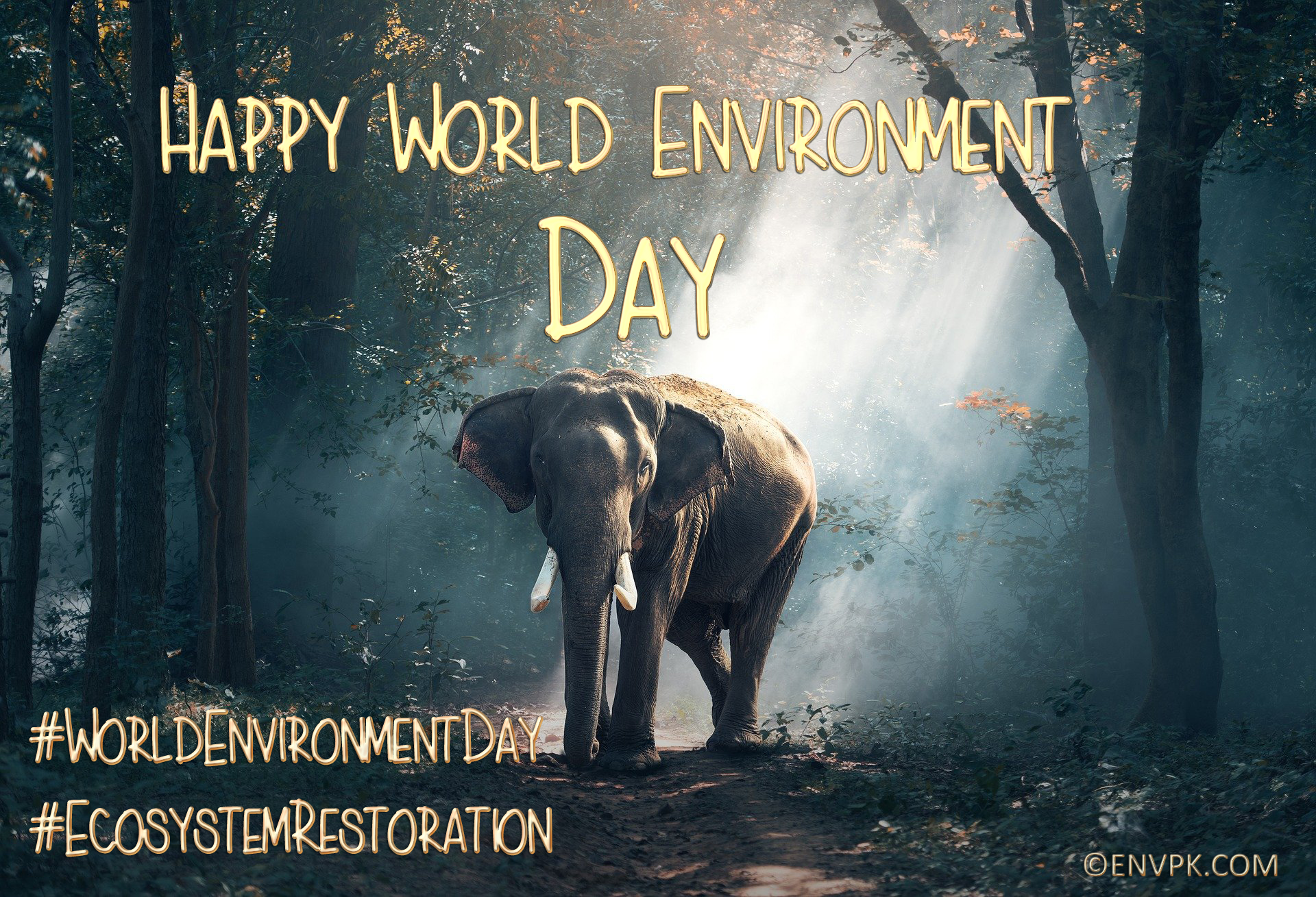 World Environment Day Wallpapers