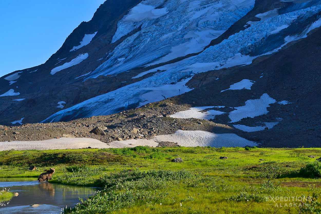 Wrangellвђ“St. Elias National Park And Preserve Wallpapers